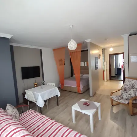 Aparthotel The 4*